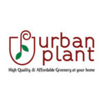 Urban Plant